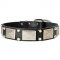 Designer Wide Leather Dog Collar with Vintage Nickel Plates For Stylish Walking