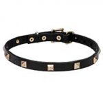 "Modern Style" Leather Dog Collar with Brass Fittings