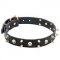 "Heavy Metal" Leather Dog Collar with Spikes and Skulls Decoration