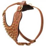 Fashionable Leather Dog Harness For Stylish Walking And Training