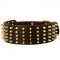 Extra Wide Leather Dog Collar Decorated with Spikes