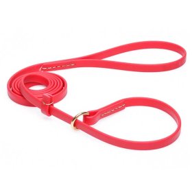Durable Red Biothane dog Leash and Collar Combo