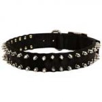 First-rate Nylon Nickel Spiked Dog Collar