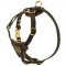 Nappa Leather Padded Dog Harness for Small Puppies