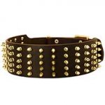 Extra Wide Leather Dog Collar Decorated with Spikes
