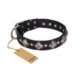 'Silver Charm' FDT Artisan Natural Leather Dog Collar with Studs and Plates