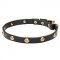 "Stamped Studs" Leather Dog Collar with Brass Hardware and Adornment