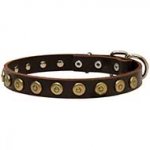 Walking and Training Leather Dog Collar With Doted Circles