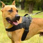 Weatherproof Nylon Pitbull Harness for Weight Pulling Activities
