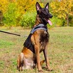 Nylon Vest-like Belgian Malinois Harness For Rehabilitation
