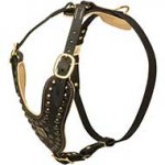 Gorgeous Y-shaped Leather Dog Harness with Brass Studs
