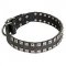"Caterpillar" Leather Dog Collar with 2 Rows of Nickel Studs