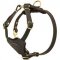 Training and Walking Puppy Leather Dog Harness