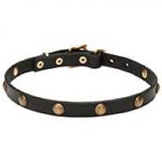 "Elegant Beauty" Leather Dog Collar with Goldish Brass Decorations