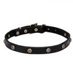 "Cloak and Sword" Leather Dog Collar with Carved Round Studs with Flowers