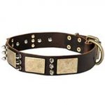 Wide Leather Decorated Dog Collar with Vintage Plates and Spikes for Big Breeds