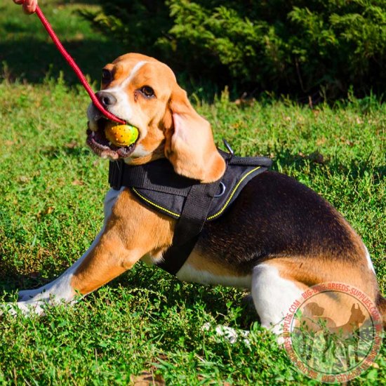 Nylon Puppy Harness For Walking Training Pulling Tracking Nylon Puppy Harness For Walking