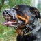 Adjustable Basket Wire Rottweiler Muzzle Light