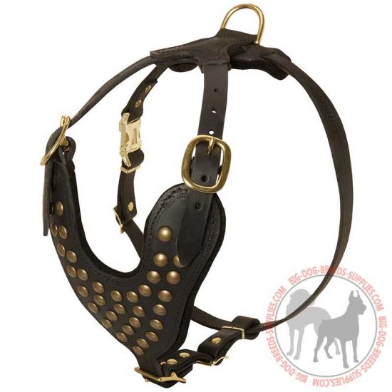 designer leather dog harness