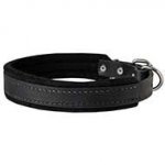Training & Walking Leather Canine Collar Padded with Natural Felt