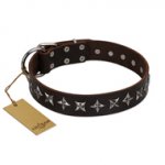 "Stars of Glory" FDT Artisan Brown Leather dog Collar for Comfortable Walking