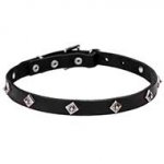 "Cosmic Stars" Leather Dog Collar with Star Studs and Reliable Hardware