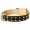 Nappa Padded Leather Dog Collar with Brass Spikes for Walking