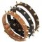 Walking Spiked Leather Dog Collar