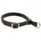 Training Leather Slip Dog Collar with Nicklel Hardware