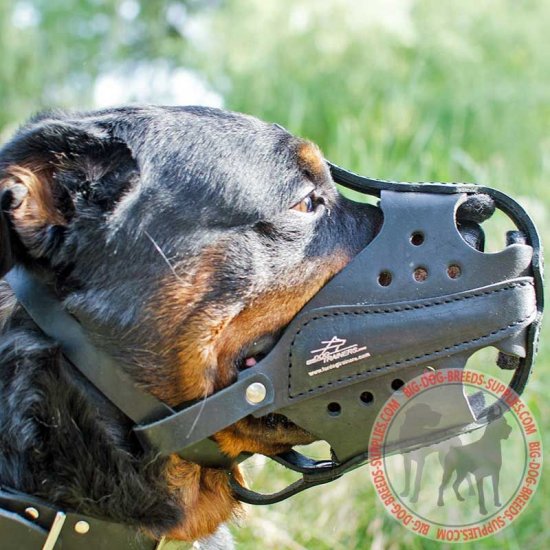 dog muzzle for rottweiler
