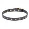 "Stars" Adorned Leather Dog Collar with Brass Studs