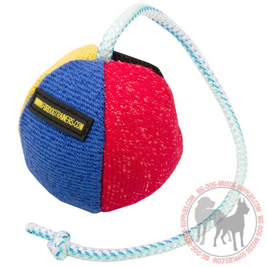 dog ball on string