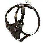 Protection Leather Dog Harness with Wide Chest Plate for Attack Work