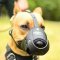 Leather Pitbull Muzzle for Anti-Barking Training