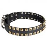 Walking and Training Studded Leather Dog Collar "Caterpillar"