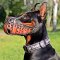 Leather Doberman Muzzle for Agitation Training