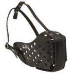 Attack / Agitation Training Leather Dog Muzzle