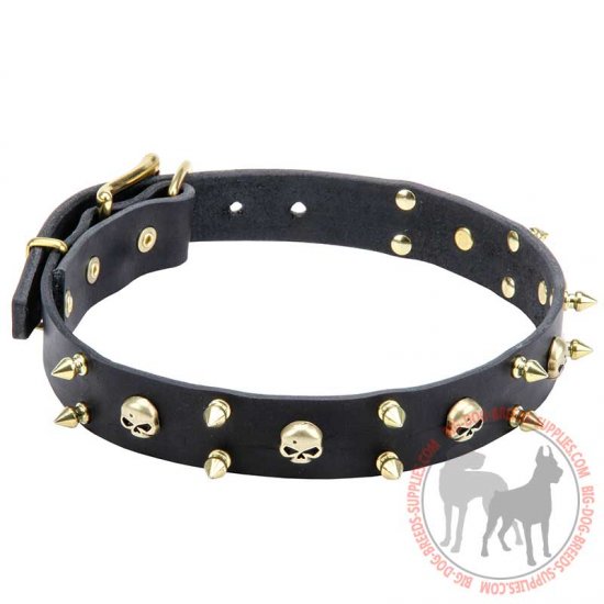 skull dog collars