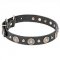 "Magic Necklace" Amazing Leather Dog Collar with Brass Circles and Studs