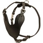 Adjustable Leather Dog Harness for Agitation / Protection / Attack Training