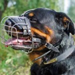 Adjustable Basket Wire Rottweiler Muzzle Light