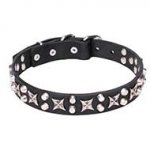 "Shining Stars" Imposing Leather Dog Collar with Firm Hardware - 1 1/5 inch (30 mm) Wide