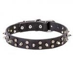 "Star-studded Sky" Walking Leather Dog Collar with Chrome Plated Decorations