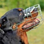 New Wide Wire Cage Rottweiler Muzzle