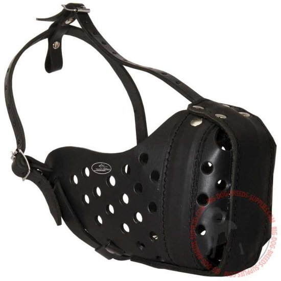 Get Attack Training Leather Muzzle Walking Dog