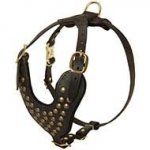 Designer Leather Dog Harness with Studded Breast Plate