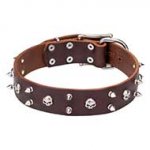 "Blackbeard" Leather Dog Collar with Skulls and Spikes Decor