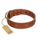 "Sweet Caramel" Designer FDT Artisan Tan Leather dog Collar