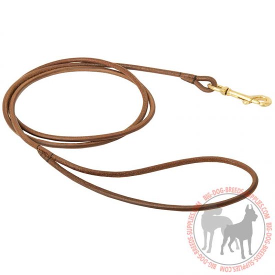 high quality leather dog leash