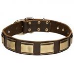 Unusually Decorated Leather Dog Collar With Brass Plates